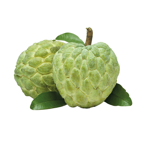 Custard Apple